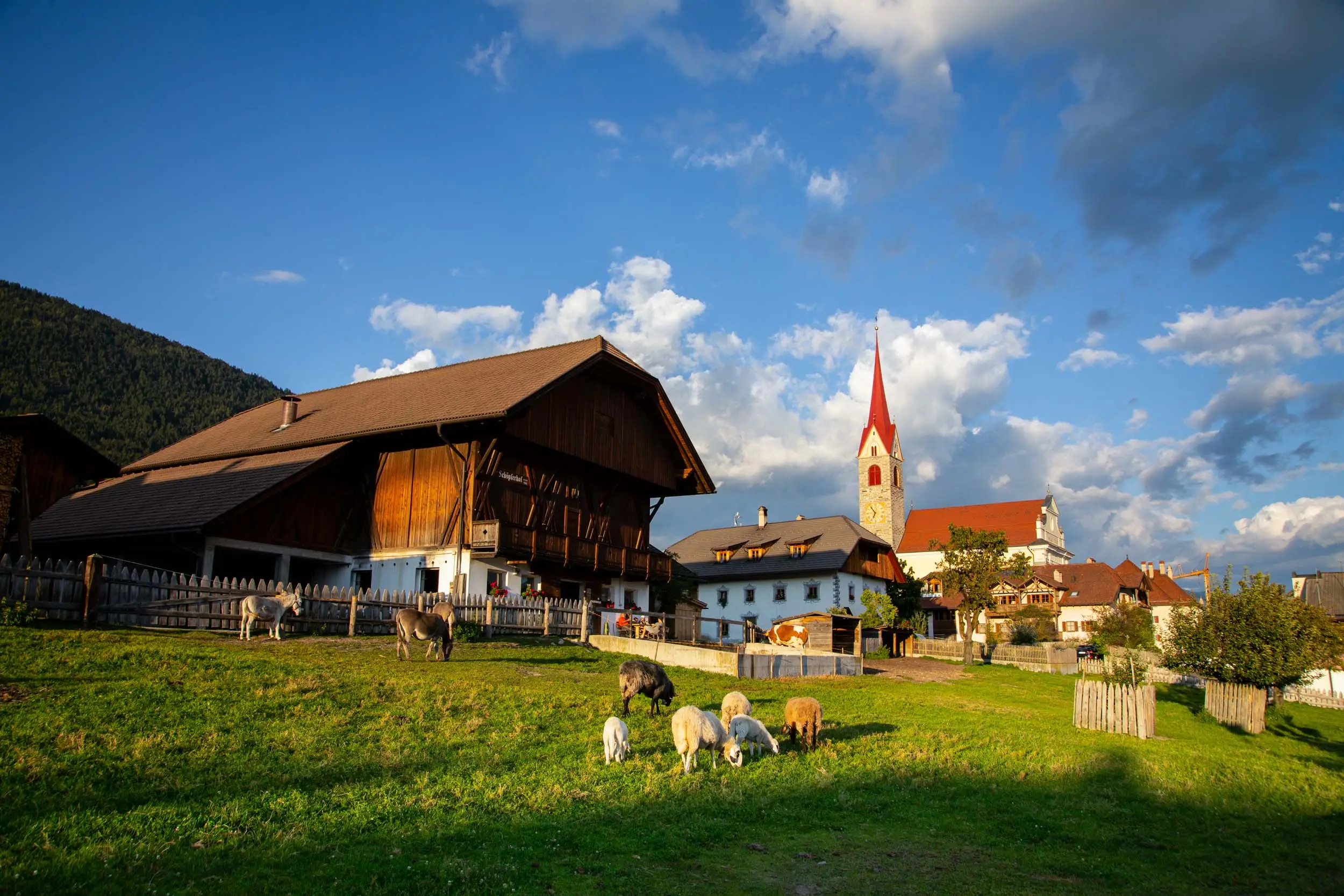 Fotografo trentino paesaggio Fotografo trentino paesaggio